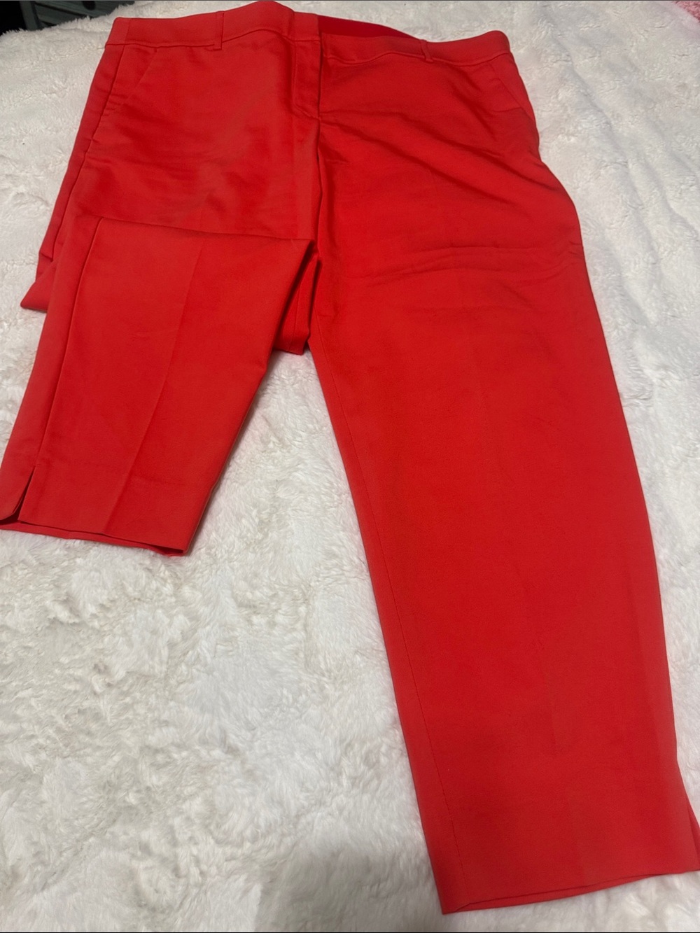 Lane Bryant Bright Orange Modern Collection Ankle Slacks